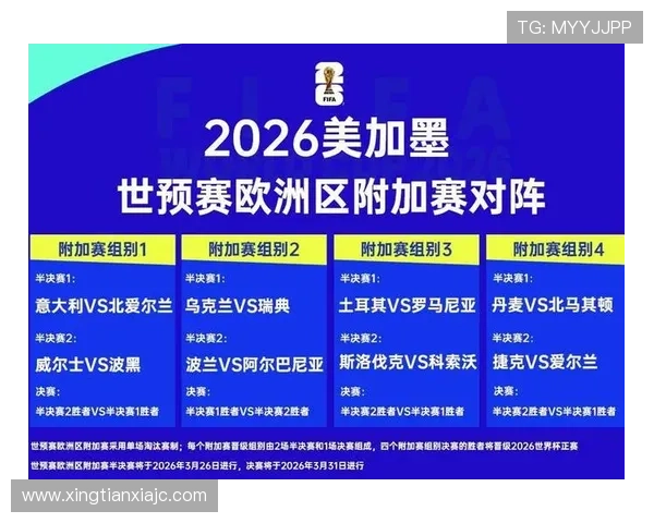 2026世界杯官方排名决定解析